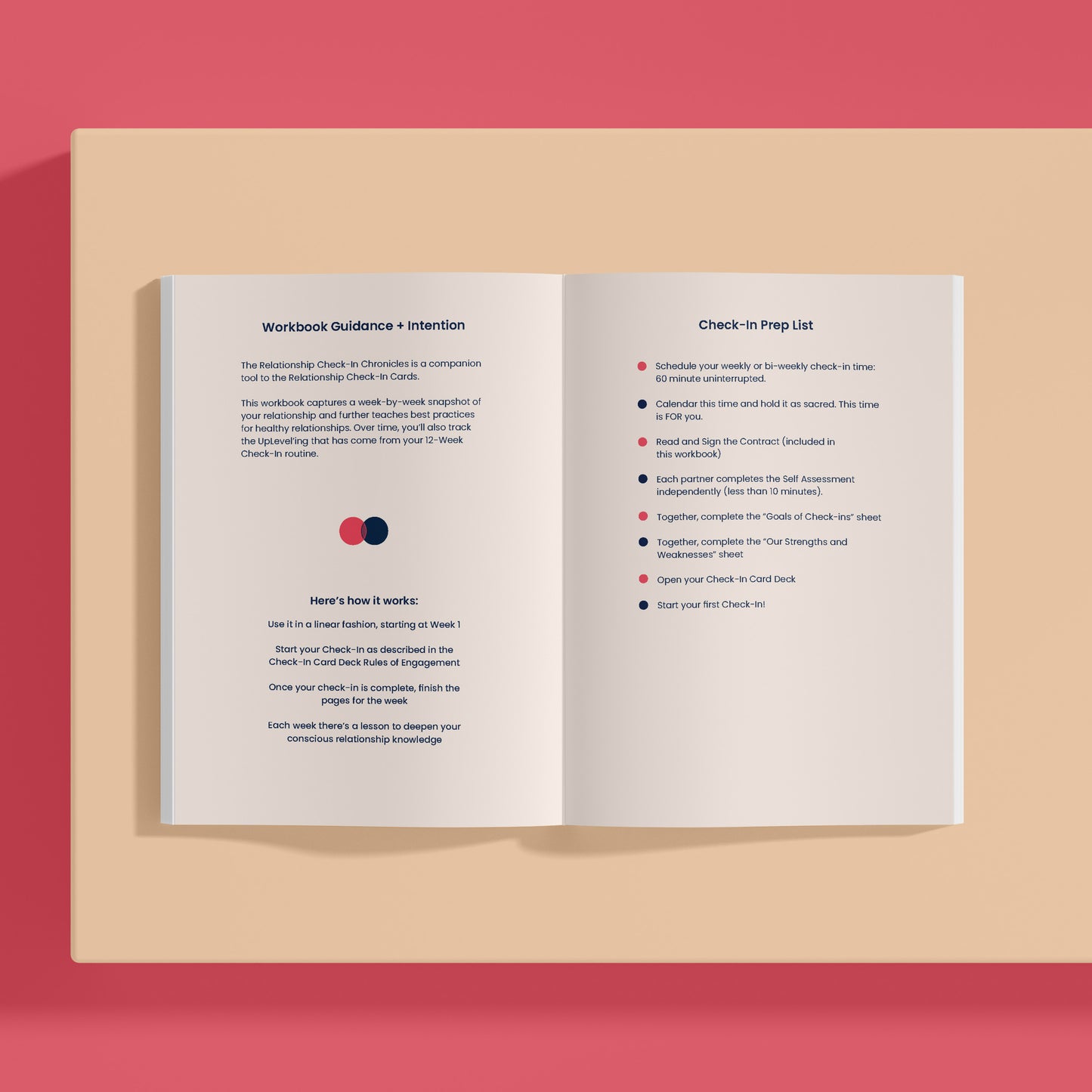 Check-In Chronicles Workbook